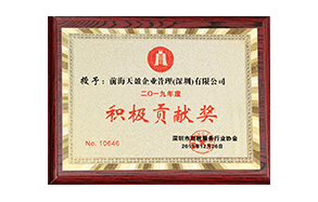 2019年深圳財稅行業(yè)協(xié)會(huì )貢獻獎